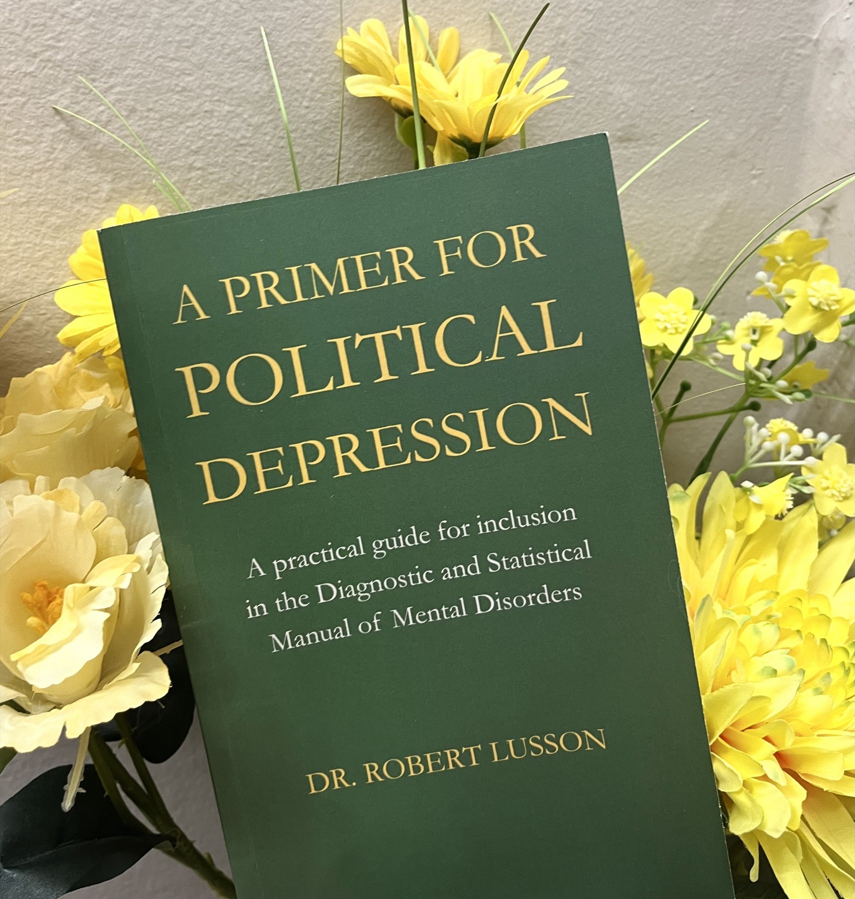 Robert Lusson 的书 A Primer for Political Depression 封面